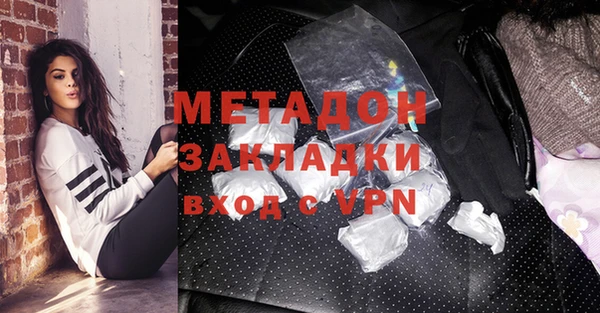 индика Козловка