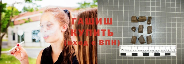 индика Козловка