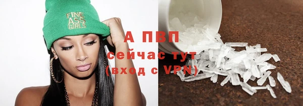 гидра Козельск