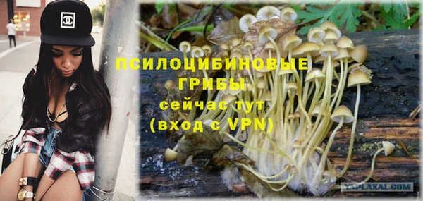 мдпв Краснослободск