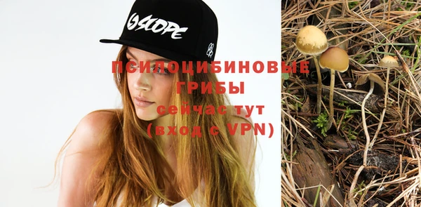 мдпв Краснослободск