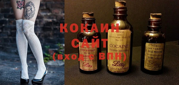 мдпв Краснослободск